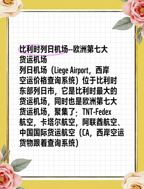 貨運(yùn)機(jī)場網(wǎng)站貨運(yùn)機(jī)場網(wǎng)站官網(wǎng)
